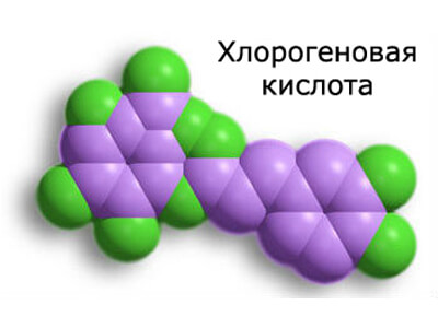 Хлорогеновая кислота
