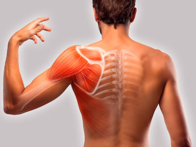 Воспалительные явления в суставах и мышцах