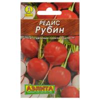 Редис Рубин