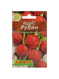 Редис Рубин