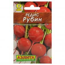 Редис Рубин