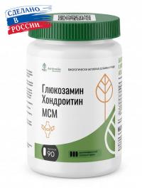 Комплекс Глюкозамин Хондроитин МСМ