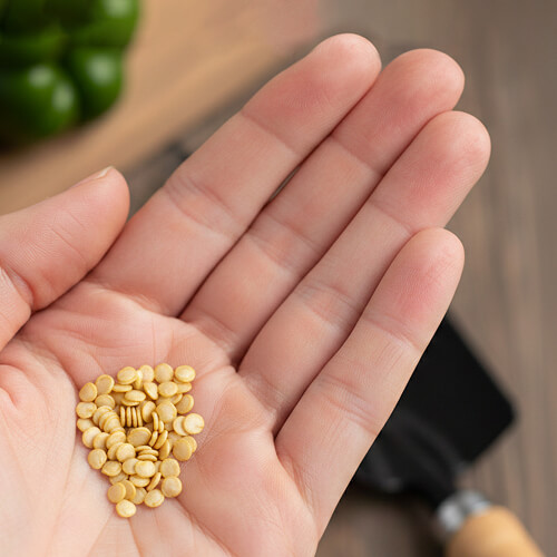 Семена лежат на ладоне